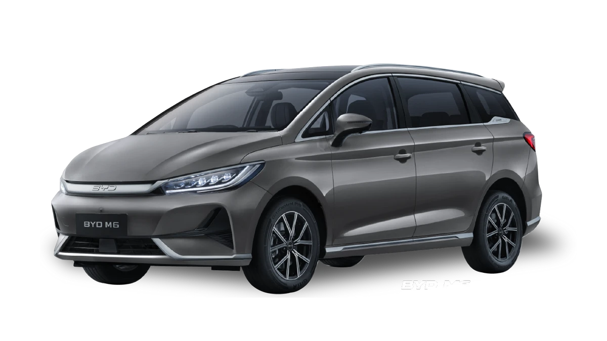 BYD M6